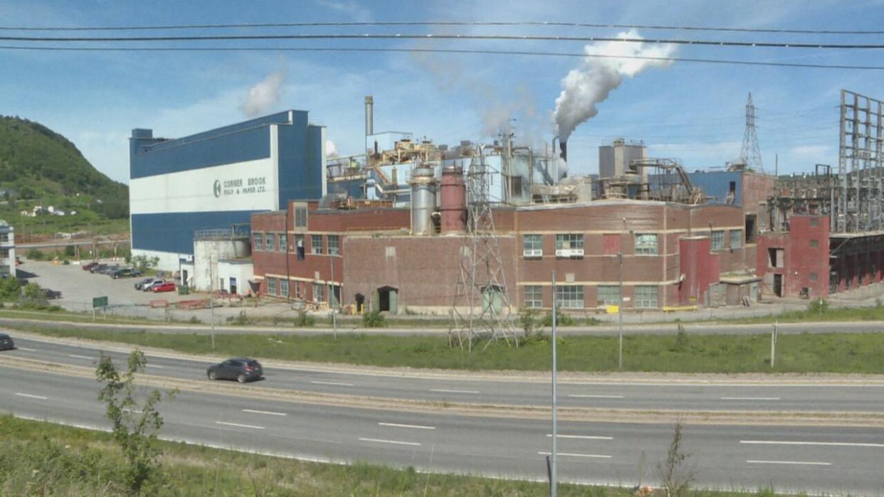 Corner Brook Pulp and Paper harvests wood in many areas of Newfoundland for processing at its newsprint mill. (Colleen Connors/CBC - image credit)