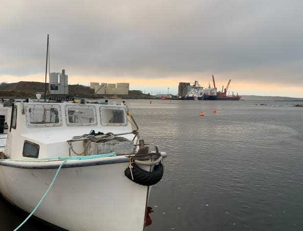 A view of the harbour in Long Pond where OCI wants to build a new wharf and cold storage facility. 