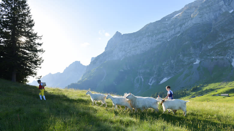 Boys herding goats in the mountains