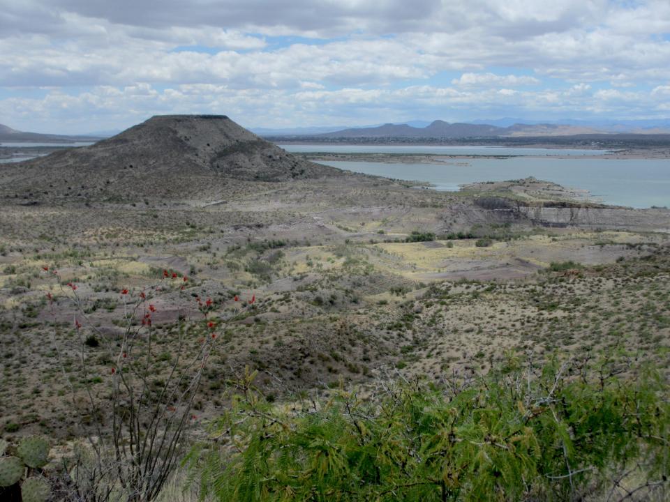 Kettle Top Butte in southwestern New Mexico. This fossilized jaw from Tyrannosaurus mcraeensis was uncovered near the base of the butte.