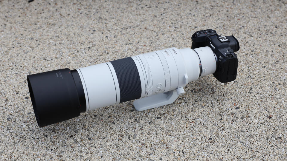 Canon RF 200-800mm f/6.3-9 IS USM lens on a Canon EOS R5 camera on a concrete surface