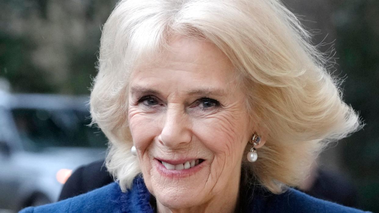  Queen Camilla's electric blue lace dress wows on 7th November. Seen here she arrives for a visit to Boston Manor House in February . 