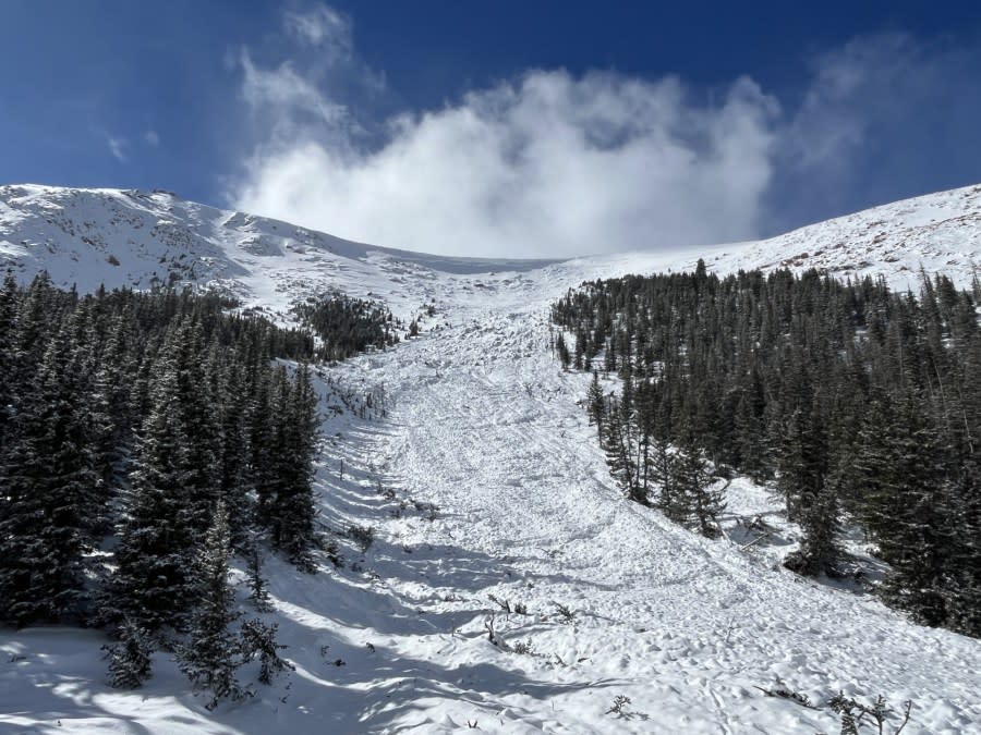 The path of a recent avalanche on Pikes Peak