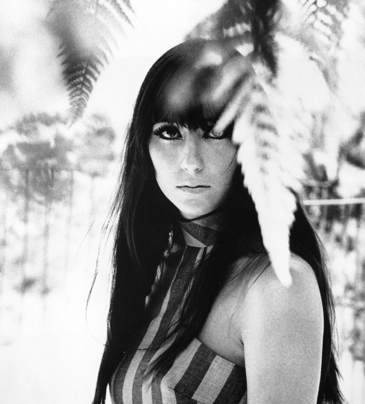 Portrait of Cher for Imperial Records in 1965. (Michael Ochs Archives / Getty Images)