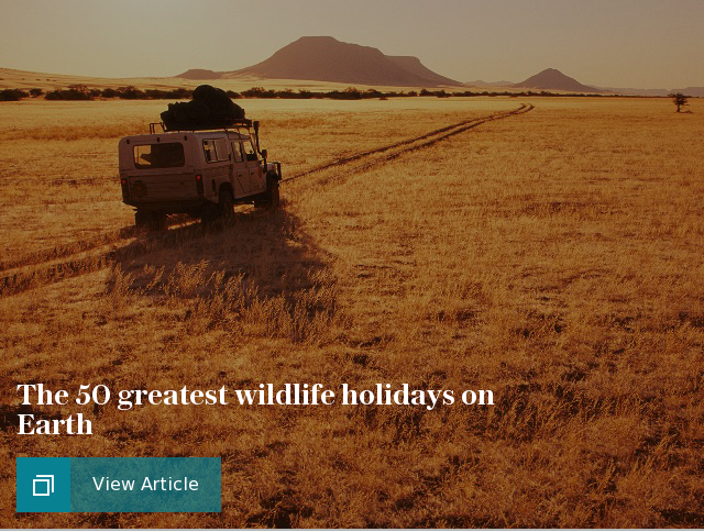 The 50 greatest wildlife holidays on Earth