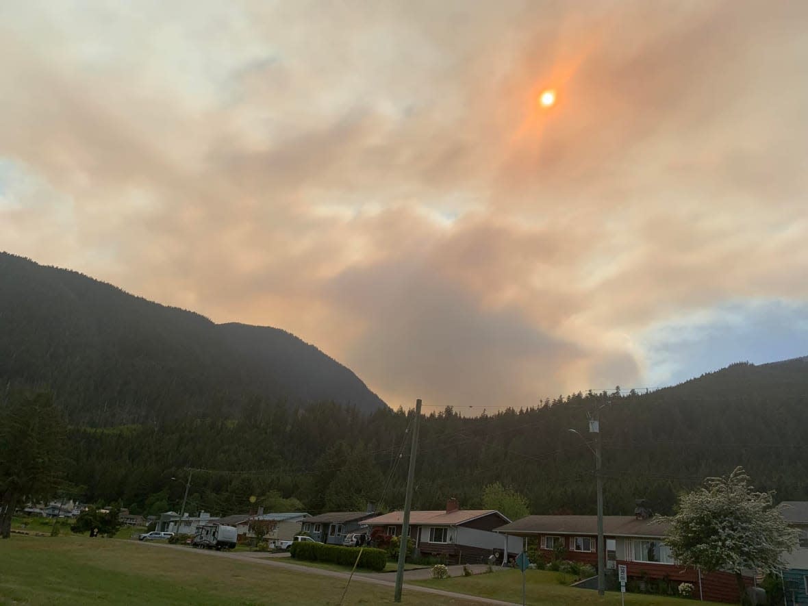 The Newcastle Creek fire is burning five kilometres west of the village of Sayward on Vancouver Island. There is currently no evacuation order for the area. (Christopher Heidenreich - image credit)