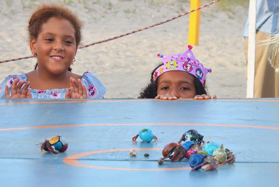 Here she comes ... Hermit crabs compete (do crabs compete?) in a beauty pageant on the beach.