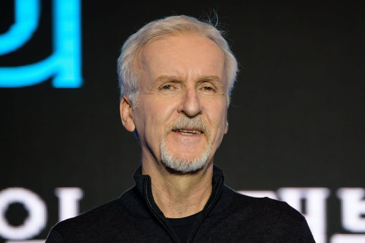 James Cameron warned of the dangers of visiting the legendary Titanic wreckage in 2012  (AFP via Getty Images)