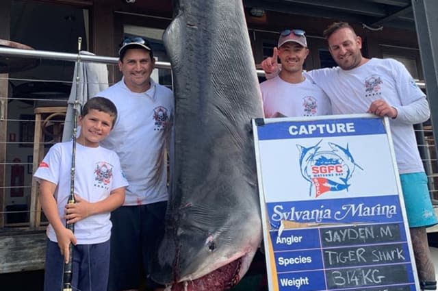 Eight-year-old boy reels in monster shark