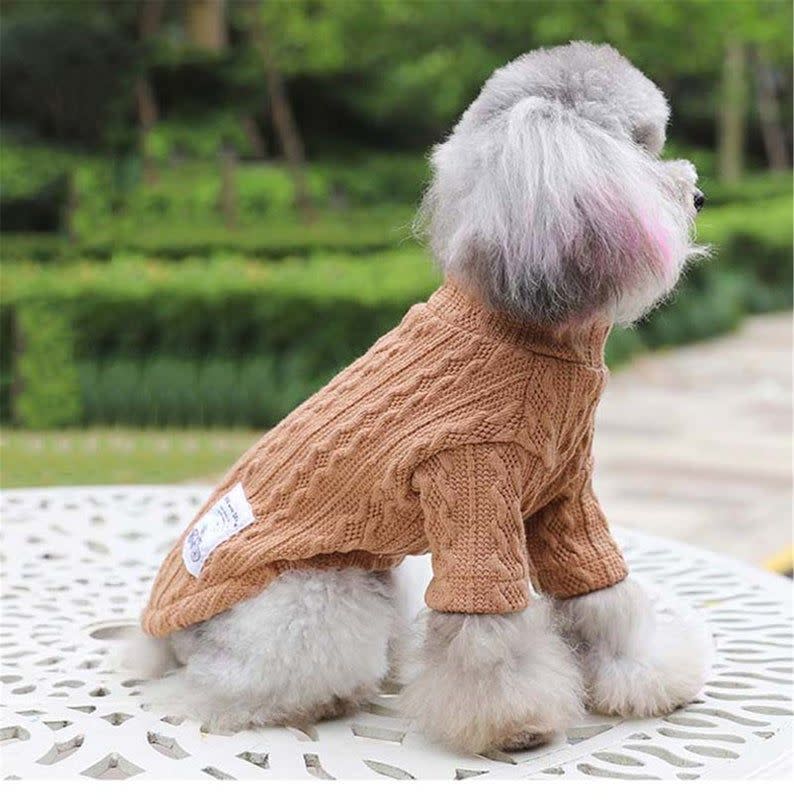 Classic Solid Puppy Dog Sweater