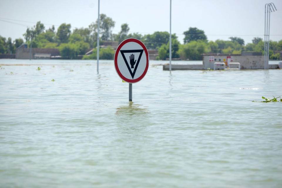 A stop sign appears above floodwater in Khairpur Nathan Shah (Akifullah Khan/DEC)