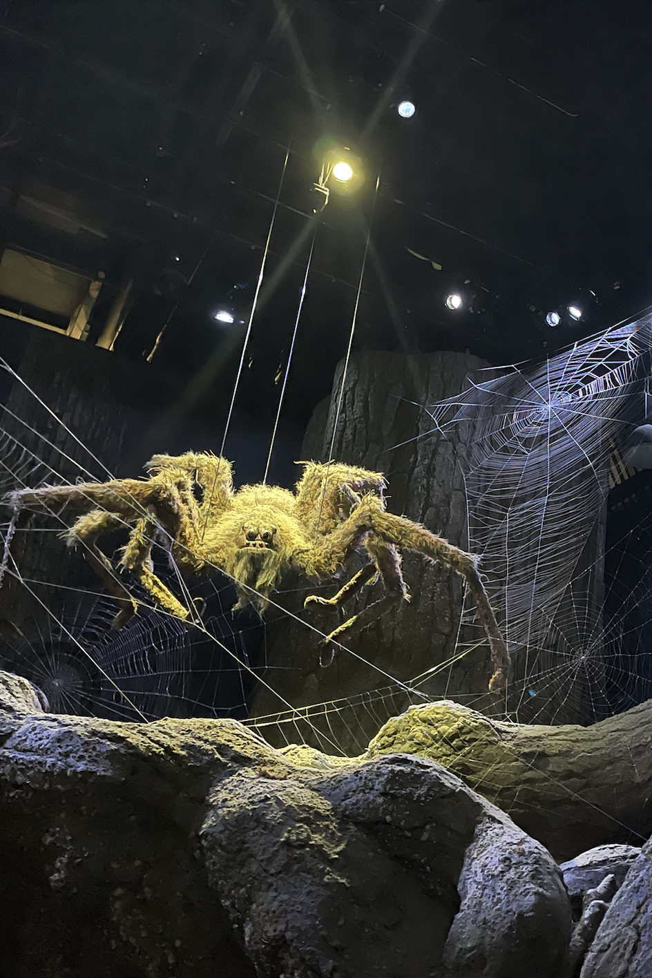 Giant spider model on rocky display with webbing, under dim lighting in a themed exhibit setting