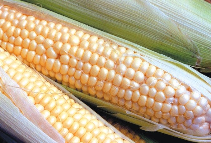 The Millersport Sweet Corn Festival will take place Aug. 31-Sept. 3.