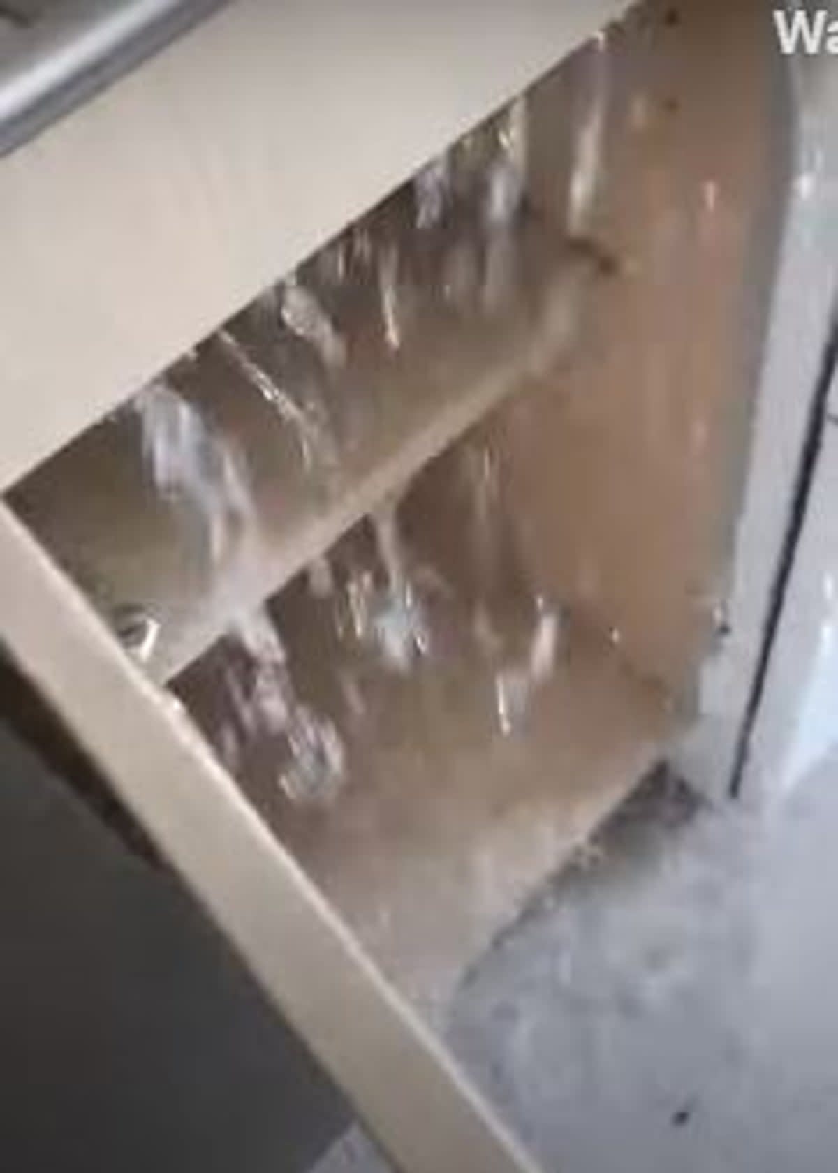 The filthy water frequently flooded the family of eight’s council home since shortly after they moved there in 2016, Mr Hashem said (Hashem family)