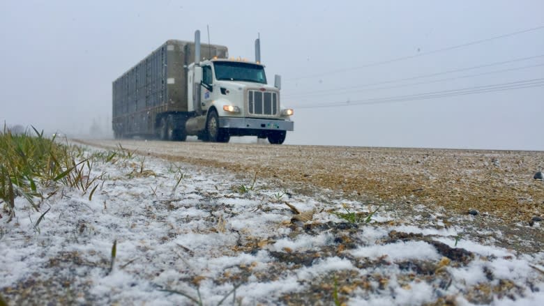 Ottawa weather forecast calls for snow as we fight floods