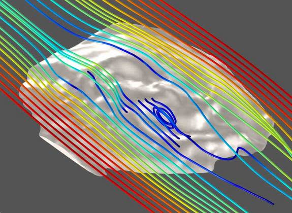 A computer simulation of <em>Tribrachidium</em> shows the flow of water over the top of a 3D virtual reconstruction of the organism.