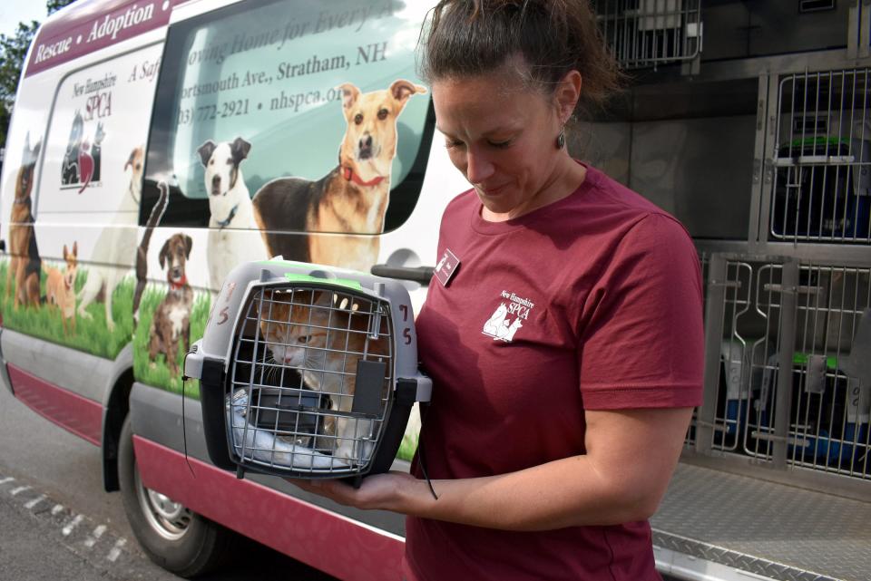 The New Hampshire SPCA received 21 cats and kittens from a special Clear The Shelters life-saving pet airlift mission.