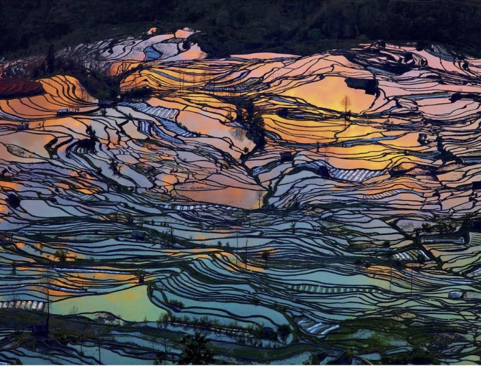 By Thierry Bornier, God’s Palette, Ailao Mountains, Yunnan province, China.