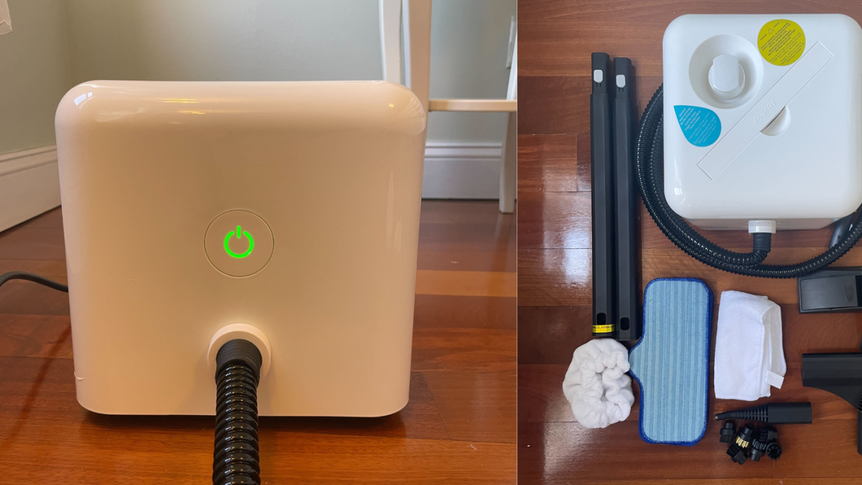 dupray neat steam cleaner review