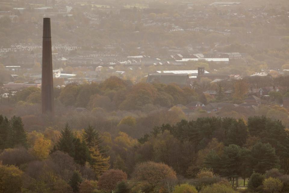 Funding will support woodland creation across northern England (Woodland Trust/PA)