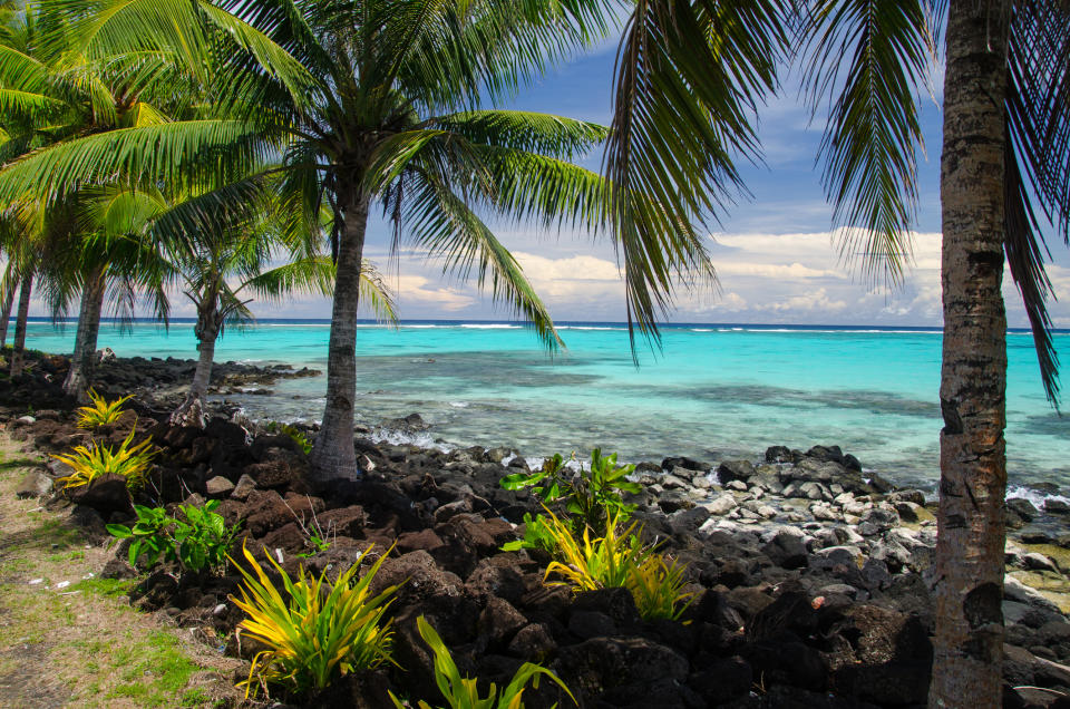 Palm trees and lush greenery by a rocky shoreline with clear turquoise waters and a blue sky in the background