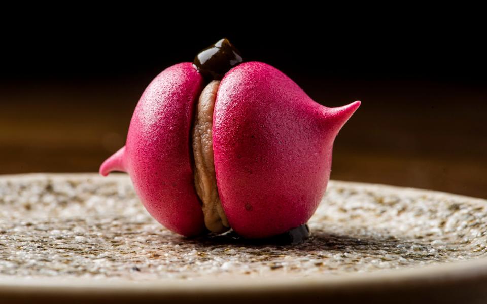 pink meringue - Phil Rigby Photography