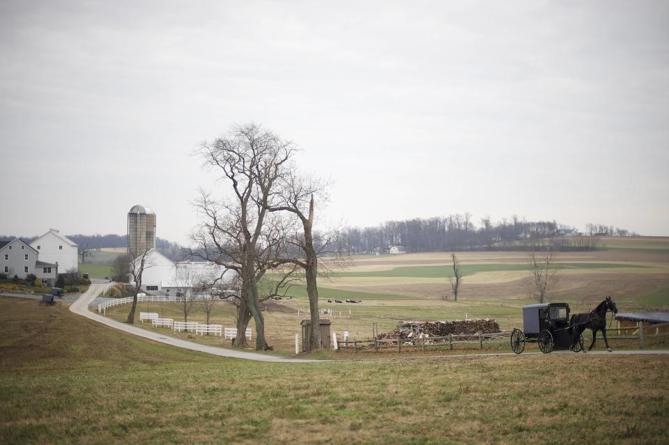 An Amish horse and buggy travels on a road in Bart Township