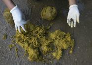 Mahout's wives pick out coffee beans from elephant dung at an elephant camp at the Anantara Golden Triangle resort in Golden Triangle, northern Thailand.