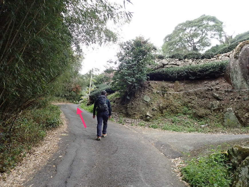 嘉義大風埕觀日峰＋油車寮步道