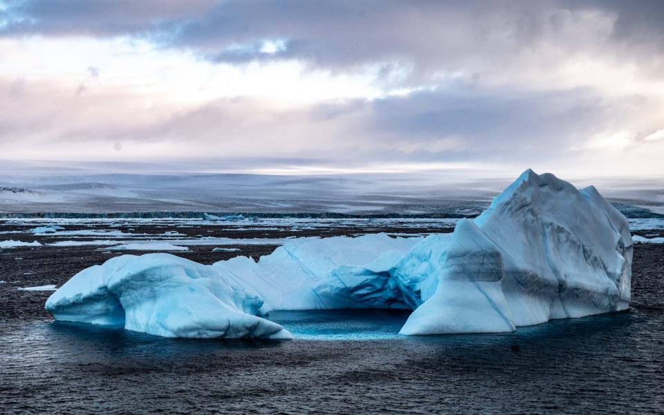 Icebergs in the Weddell Sea