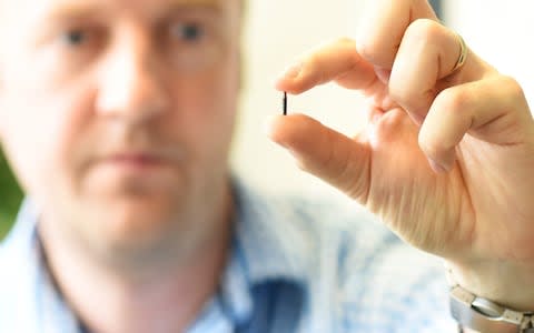 The microchip is as small as a grain of rice - Credit: Solent
