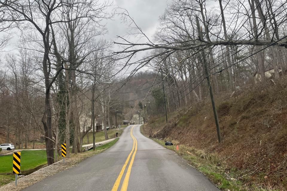 A tree hangs over power lines following high winds Saturday, March 4, 2023 in Cross Lanes, West Virginia.