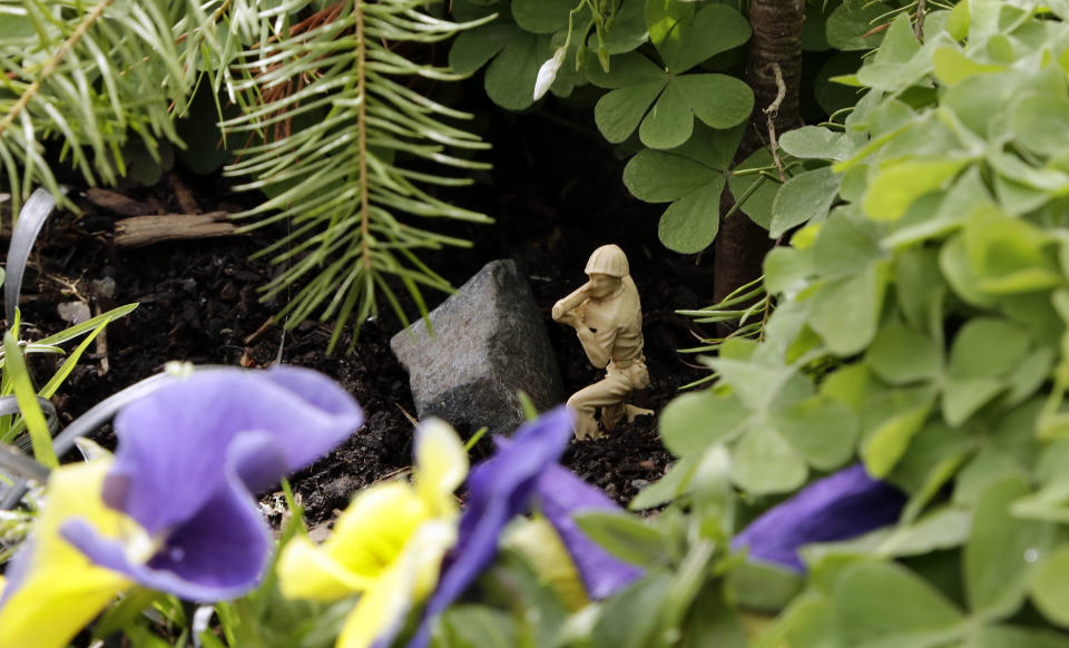 A tiny bazooka-wielding army figure crouches behind a rock deep in the flowers and foliage of Mill Ends Park in Portland, Ore., Thursday, April 11, 2013. Tiny battle lines are being drawn in a whimsical British-American dispute over which country has the world’s smallest park. Two feet in diameter, Portland’s Mill Ends Park holds the title of world’s smallest park in the Guinness Book of World Records. But a rival has emerged--Prince’s Park, more than 5,000 miles away in the English town of Burntwood which holds the record for smallest park in the United Kingdom.(AP Photo/Don Ryan)