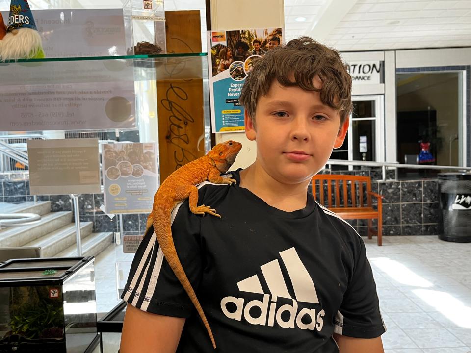 Andrew Nissley wants to adopt two bearded dragons.