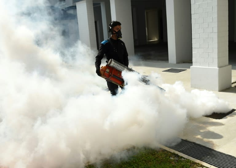 Environment agency inspectors armed with cans of insecticide and torchlights, as well as pest control teams, have become a daily sight in the areas affected by the Zika virus in Singapore
