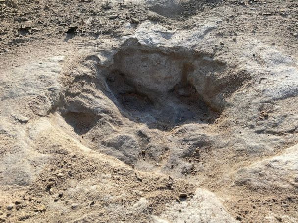 PHOTO: Dinosaur tracks from around 113 million years ago have been discovered in Dinosaur Valley State Park State Park after severe drought conditions dried up a riverbed. (Dinosaur Valley State Park via AFP/Getty Images)