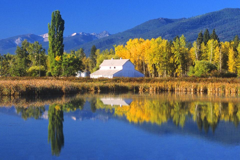 A white barn and beautiful fall foliage is reflected in pond at the Lee Metcalf National Wildlife Refuge. This tranquil scene is near Hamilton, Montana.