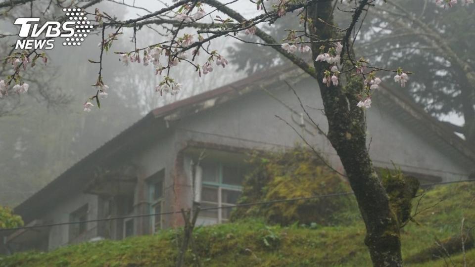 陳嫌逃亡後躲藏在一處度假小木屋。（示意圖／shutterstock達志影像）