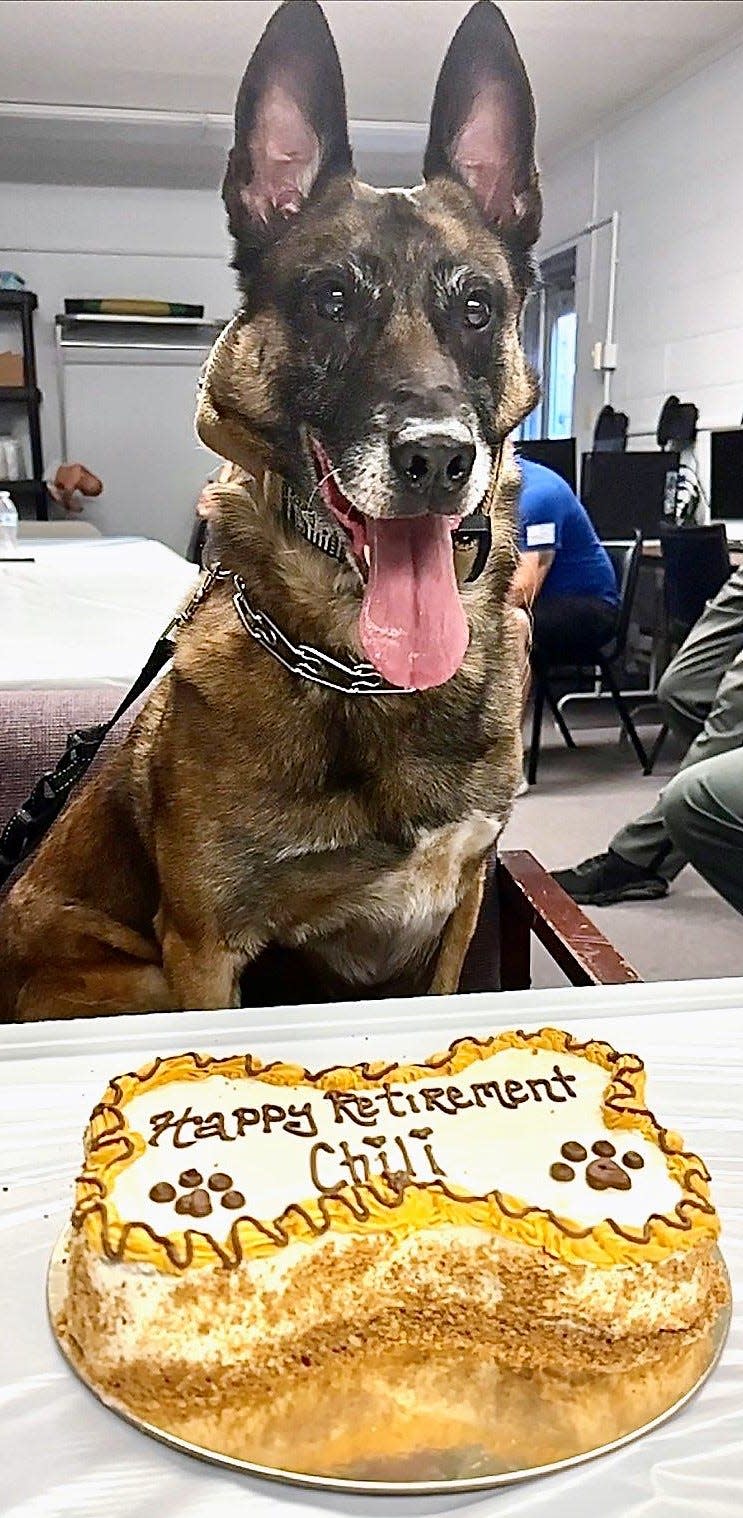 Chili with his cake from Good Boy Bakery in Roscoe Village, wishing him a happy retirement as a K-9 officer with the Coshocton County Sheriff's Office.