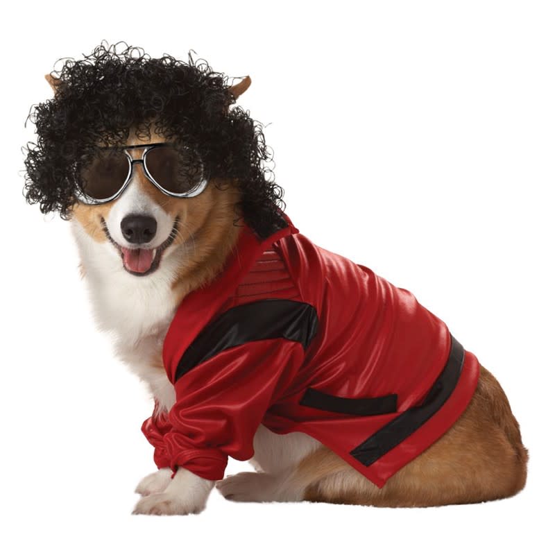 Photo by: Dog Halloween Costume Shop<br><br><b>Michael Jackson</b> <br> He is totally thrilled to be sporting his favorite costume.