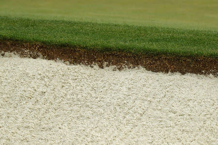 Grass grows by a sand bunker on the 7th green at Augusta National Golf Club in Augusta, Georgia, U.S. April 5, 2017. REUTERS/Jonathan Ernst