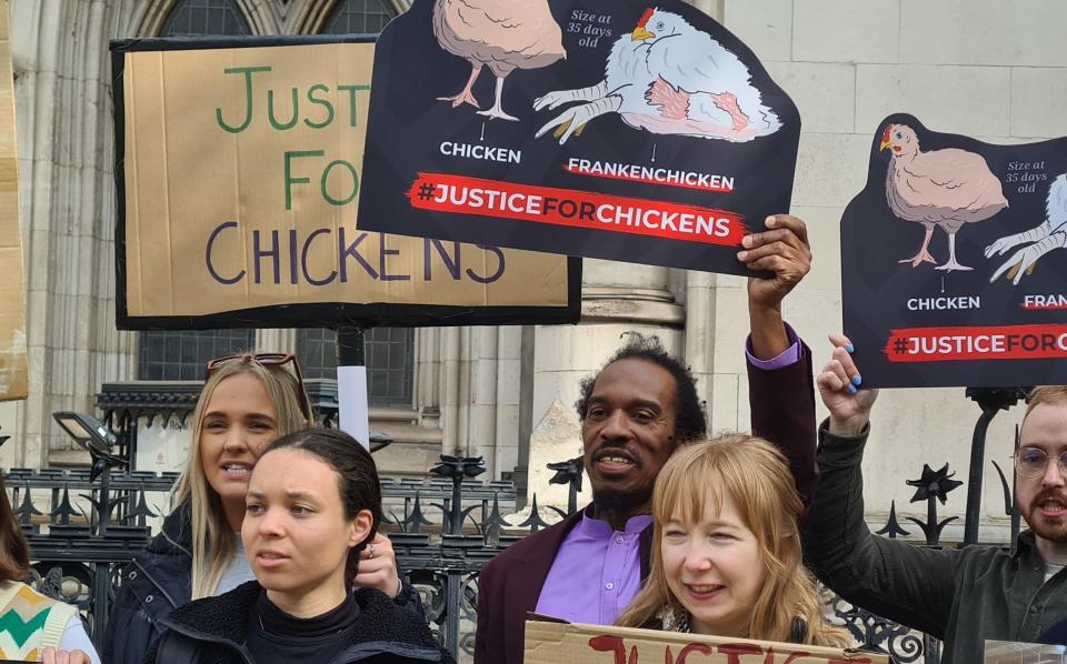 Animal welfare supporters outside the High Court in London, where animal welfare charity The Humane League has taken the Government to court in an effort to end the practice of breeding "Frankenchickens". Up to 90% of chickens sold in the UK are reared through intensive selective breeding to favour faster-growing poultry that can be brought to market sooner. Picture date: Wednesday May 3, 2023. PA Photo. See PA story COURTS Frankenchicken. Photo credit should read: Danny Halpin/PA Wire - Danny Halpin/PA Wire