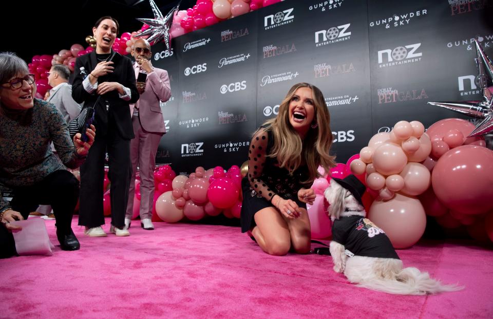 Country music artist Carly Pearce shows members of the press a trick her dog can do while they walk the pink carpet during Dolly Parton's Pet Gala at NOZ Studios in LaVergne, Tenn., Tuesday, Jan. 30, 2024.