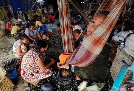 A child hangs in sarong as his mother works to clean green mussels at Cilincing area in Jakarta, Indonesia August 22, 2017. REUTERS/Beawiharta/File Photo