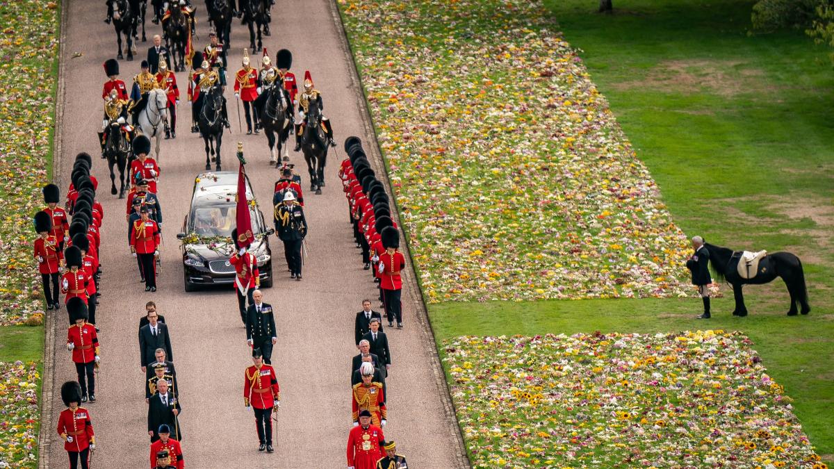 New picture of Queen’s Fell Pony Emma released