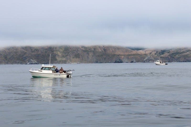 Boats troll for salmon off the Sonoma County Coast north of Bodega Bay.