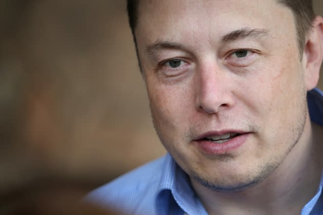 elon musk twitter policy - Credit: Scott Olson/Getty Images