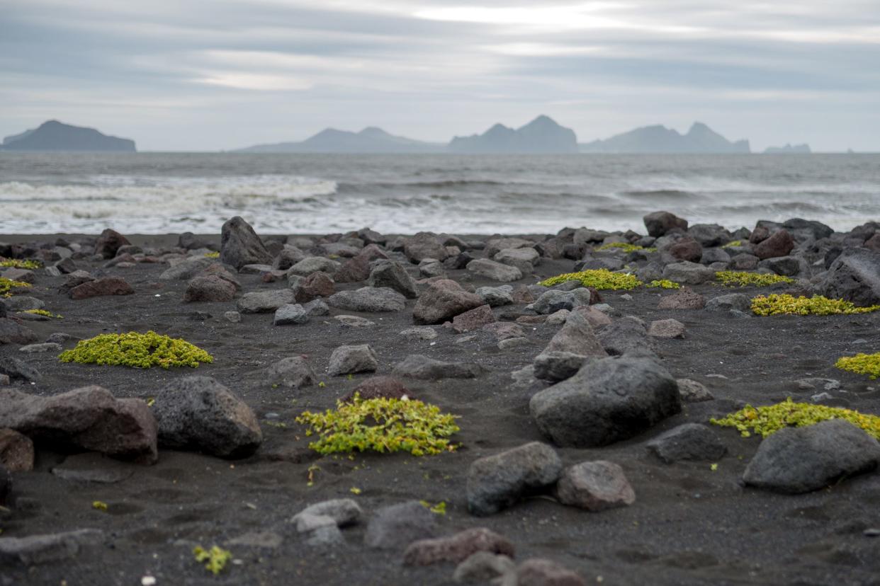 iceland's southern coast with islands in the distance