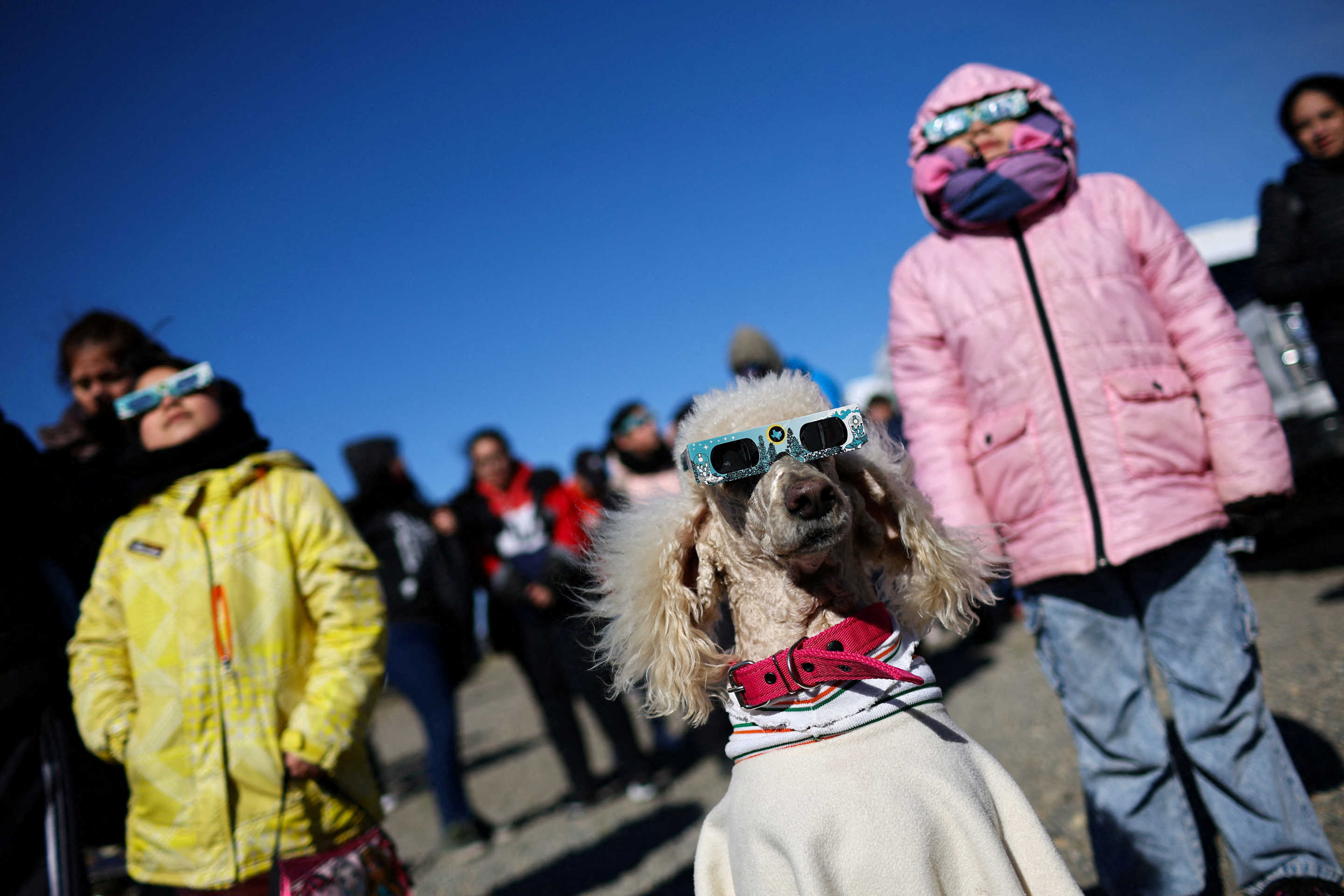 Dana the dog wears glasses as people watch an annular solar eclipse, in Las Horquetas, Santa Cruz, Argentina, on Wednesday