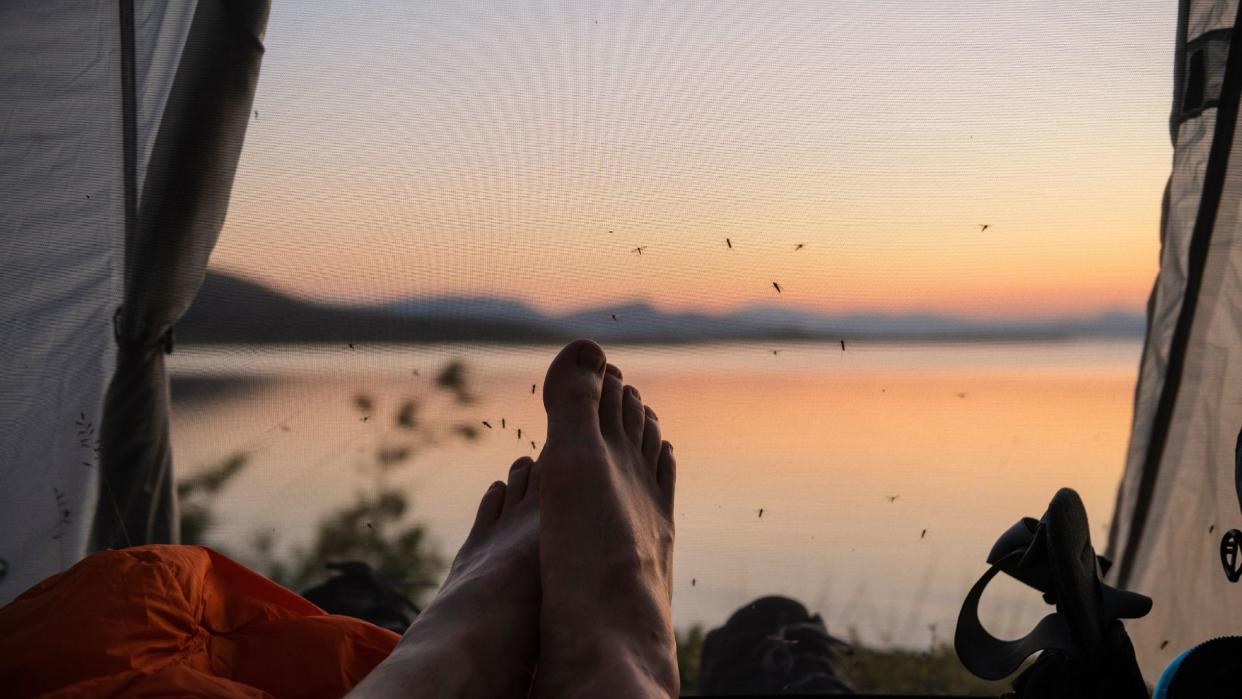  A man lying in a tent with bugs flying around his feet. 